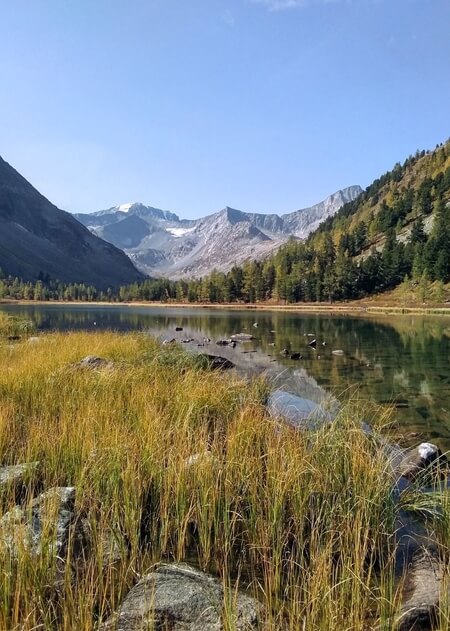 Красноярка Макси
